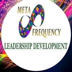 Meta Frequency Leadership Development