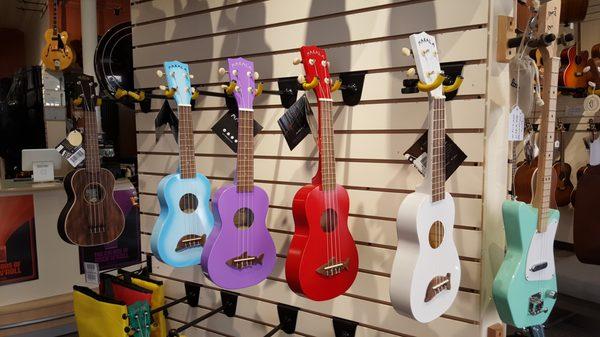 Traverse City Guitar Company