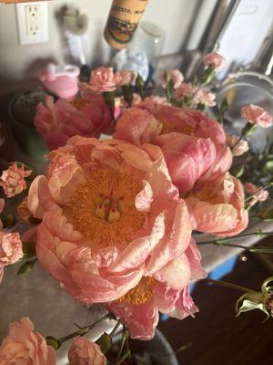 peonies this morning