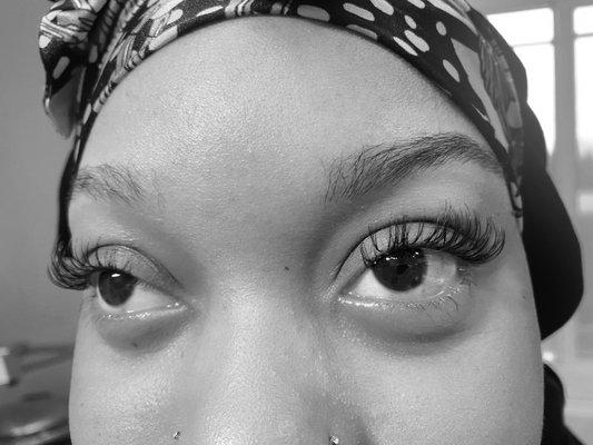 3D's full set of lashes