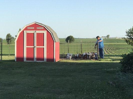 Large chicken coop