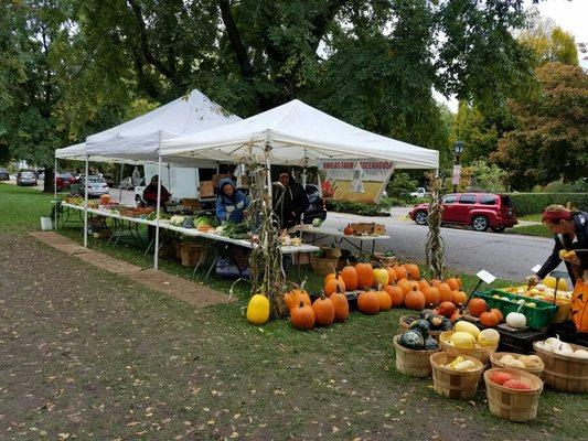 How many kwilos of pumpkins do you want?