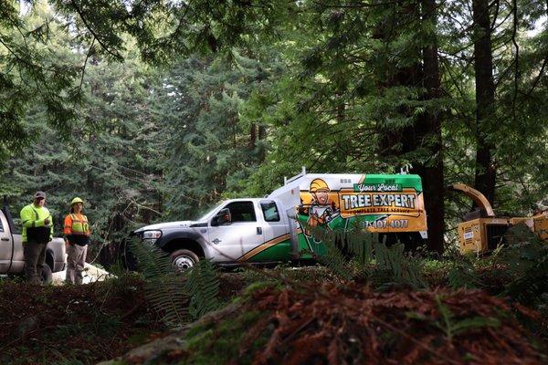 Your Local Tree Expert's new truck