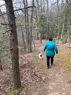 Sunrise Park trail