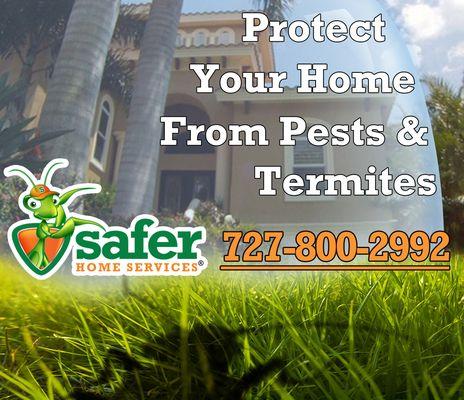 Protect Your Home from Pests & Termites