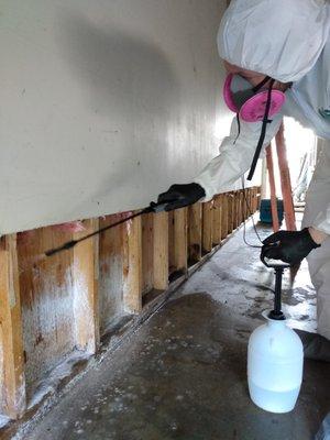 Mold Remediation