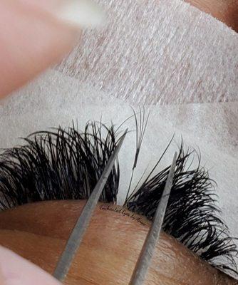 Out grown eyelash extension