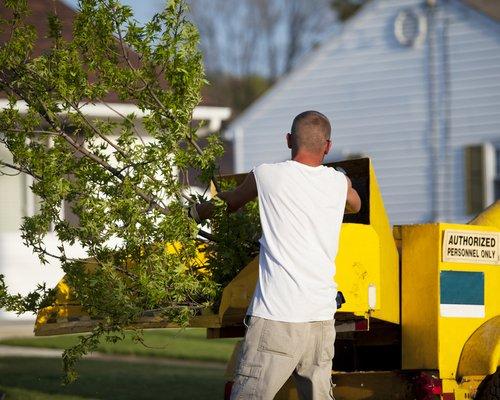 Anaheim Tree Care