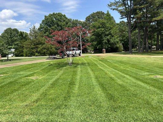 Grass cutting!