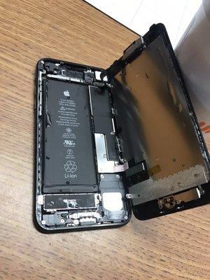 iPhone Water Damage Repair