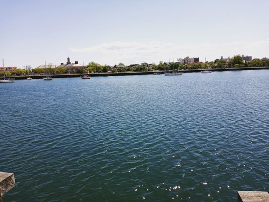 Marina overlooking Kingsborough College