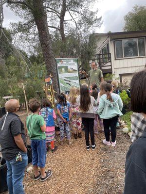 Learning about monarch life cycles