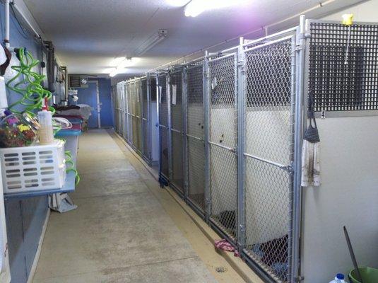 Anita's Puppy Palace Dog Boarding Kennels