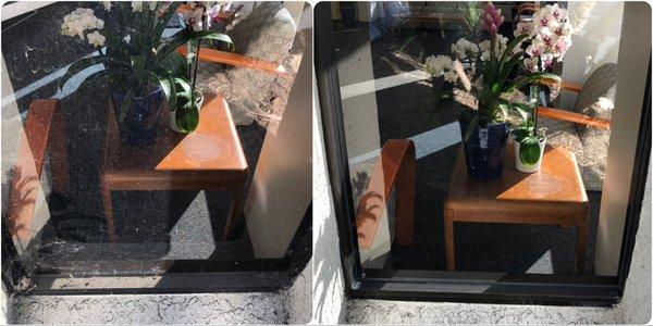 Before and after photo of some very dirty windows.