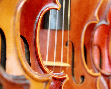 Reck Violin Shop