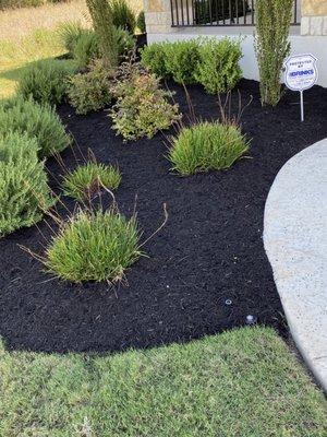 Mulch Installation