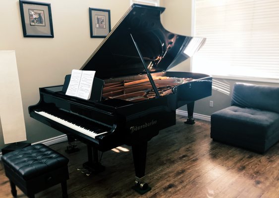 Students get to play on a 9'5'' Bosendorfer Imperial Grand Piano. Considered among the greatest pianos in the world!