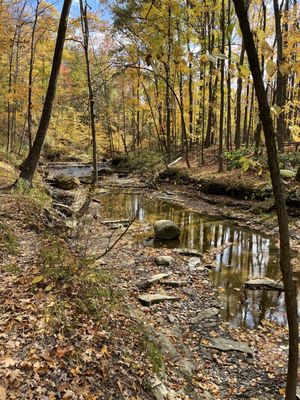 Cleveland Metroparks - Bedford Reservation