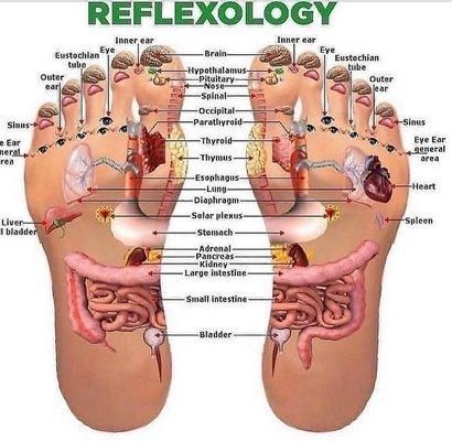 Reflexology and your skin!