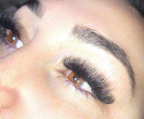 Extreme Volume Lashes