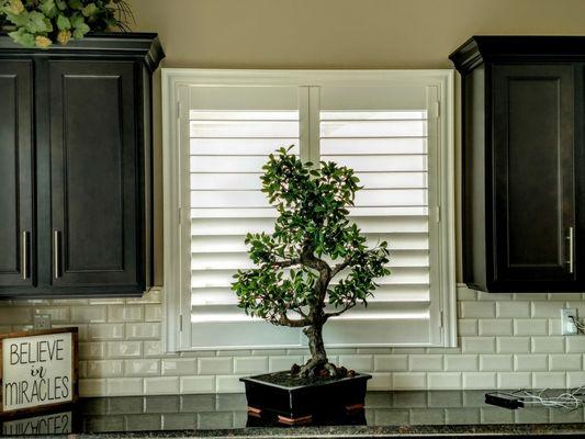 Studio Shutters and Blinds