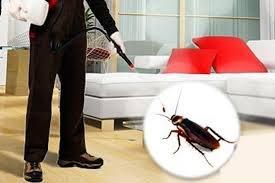 Experienced Exterminators