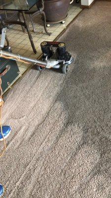 Absolute Carpet Cleaning