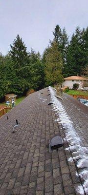 Roof cleaning