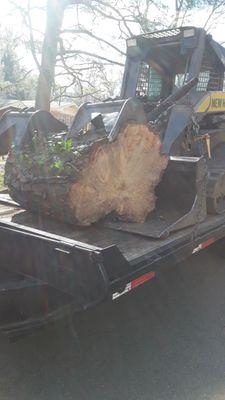 Loading up our bobcat form the of day work.