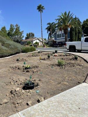 Planting, drip system, weed barrier, planting mix and mulch.