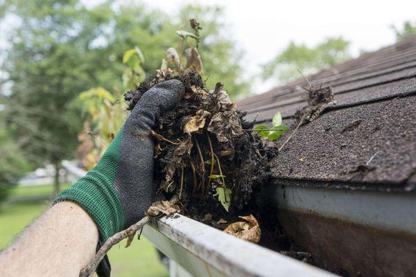 Alaya James Lawn Care & Junk Removal