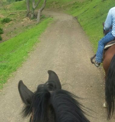 Trail rides...