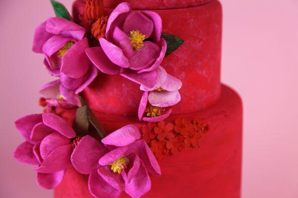 We LOVE Color!  Fuschia and red wedding cake.