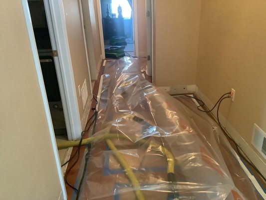 Water removal/extraction  in a hallway