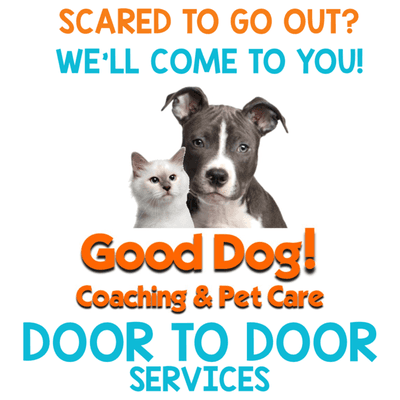 D2D Services-Dog Walking, Pet Taxi, Grocery & Precription Pick up & more!