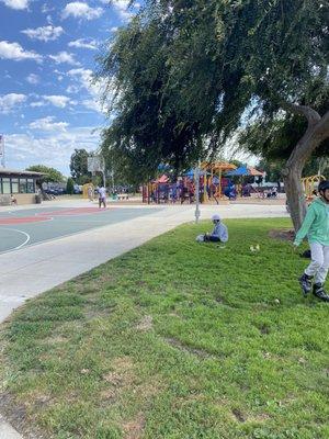 Folks enjoying this weather and park life