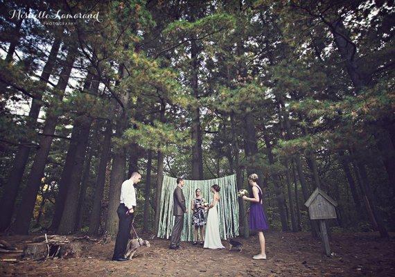 Elopement in the Arboretum, Ann Arbor, Mi, with A Simple Ceremony