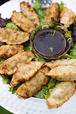 a platter of gyoza dumplings appetizer