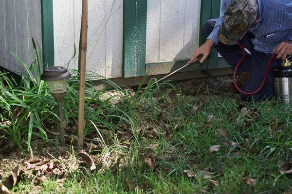 Fire Ant Extermination in Cheltenham, MD