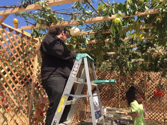 TBI's sukkah