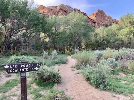 At the start of the hike...simply continue straight for heading to Escalante Bridge.