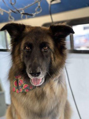 Nikki feeling good after her blowout.