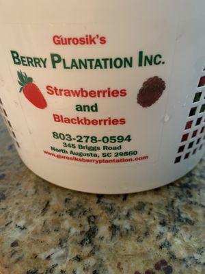 Strawberry bucket