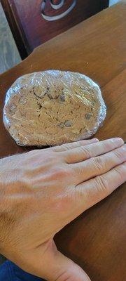 Humongous chocolate chip cookie