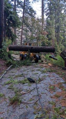 Log removal, from fallen trees, created by wind storm's.