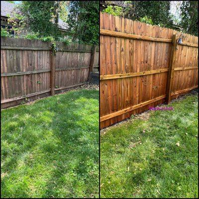 Before & After ( Fence )