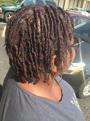 Starter locs