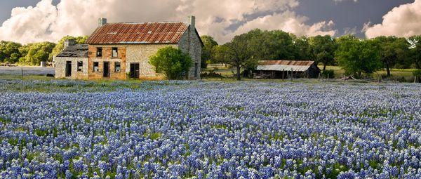 Eye Associates of South Texas-North Central