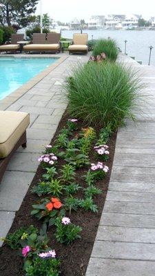 Mini-garden to rim pool