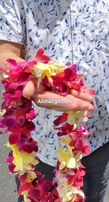 Double sprayed Yellow red orchid twist leis